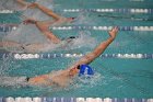 Swim vs Bentley  Wheaton College Swimming & Diving vs Bentley University. - Photo by Keith Nordstrom : Wheaton, Swimming & Diving